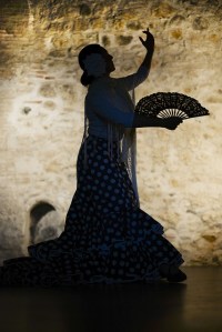Shadow of a flamenco dancer with a fan