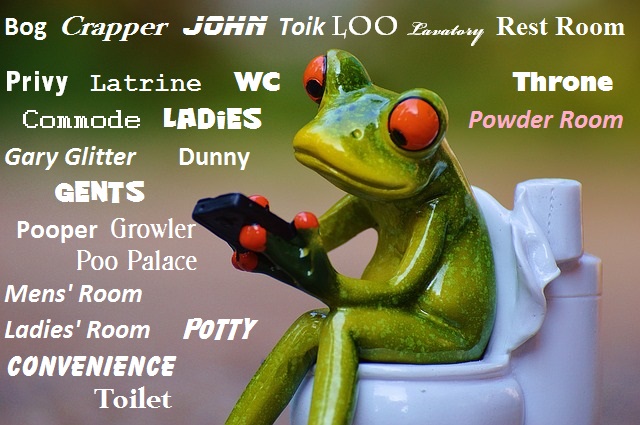 Toilet Training (1).jpg