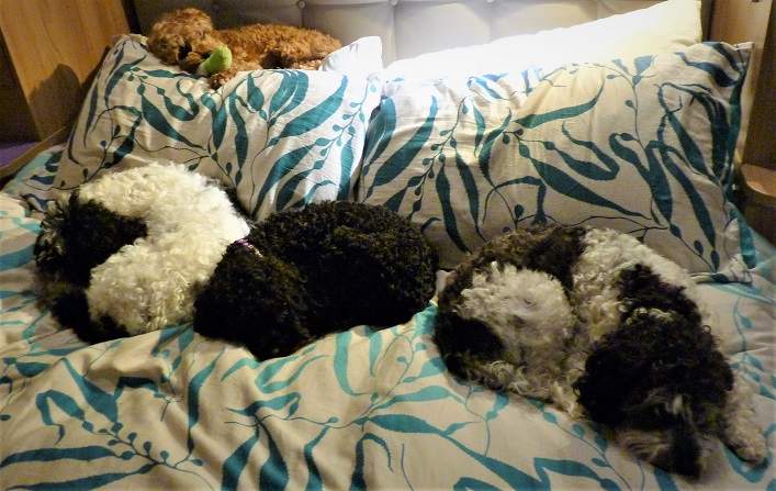 4 Berth Caravan (2).JPG