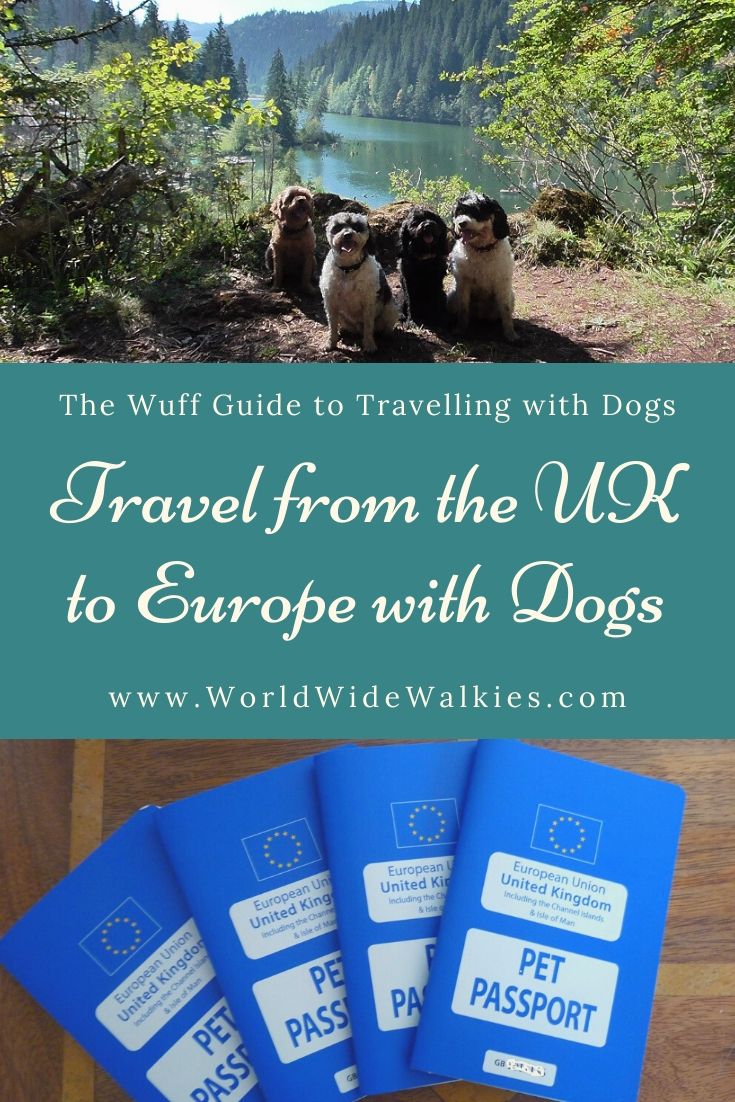 Travel from the UK to Europe with Dogs Pin
