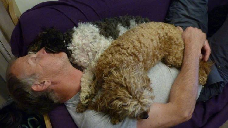 18192385_10210422559135191_3922155129308340172_o