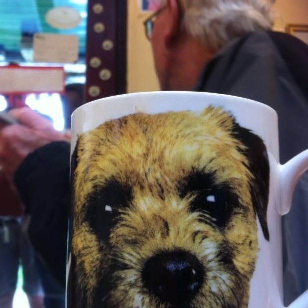 19105968_10210768065932645_197159133264202133_n