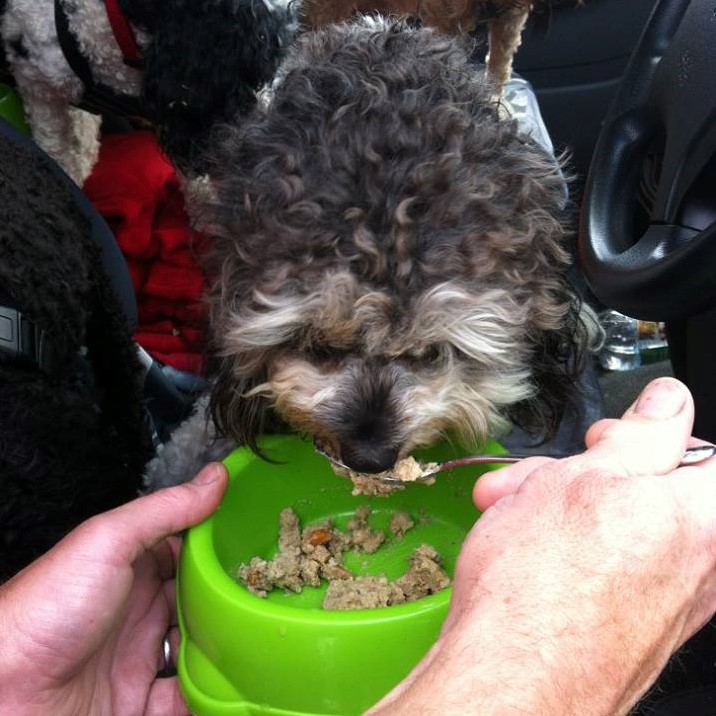 19731907_10210978913123693_8879937218150628753_n