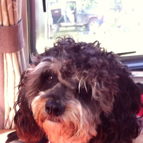 19894821_10211103287232968_7155003518179710264_n