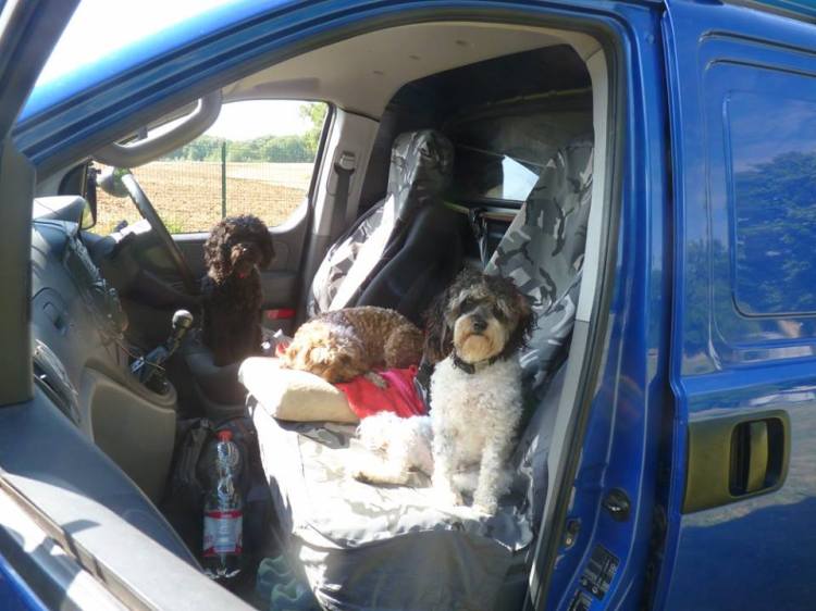 19989386_10211103258632253_3220691610618883642_n