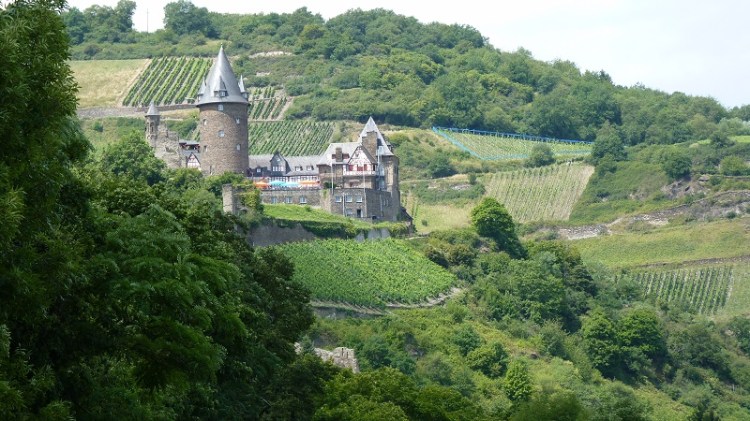 P1060937 Loo with a view. Burg Stahlek