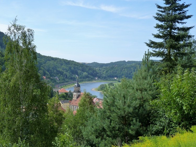 P1070380 Special View