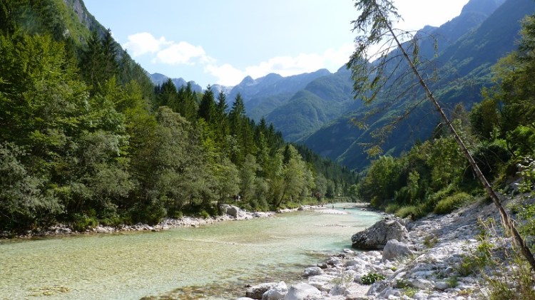 P1070797 Soca near camp.JPG