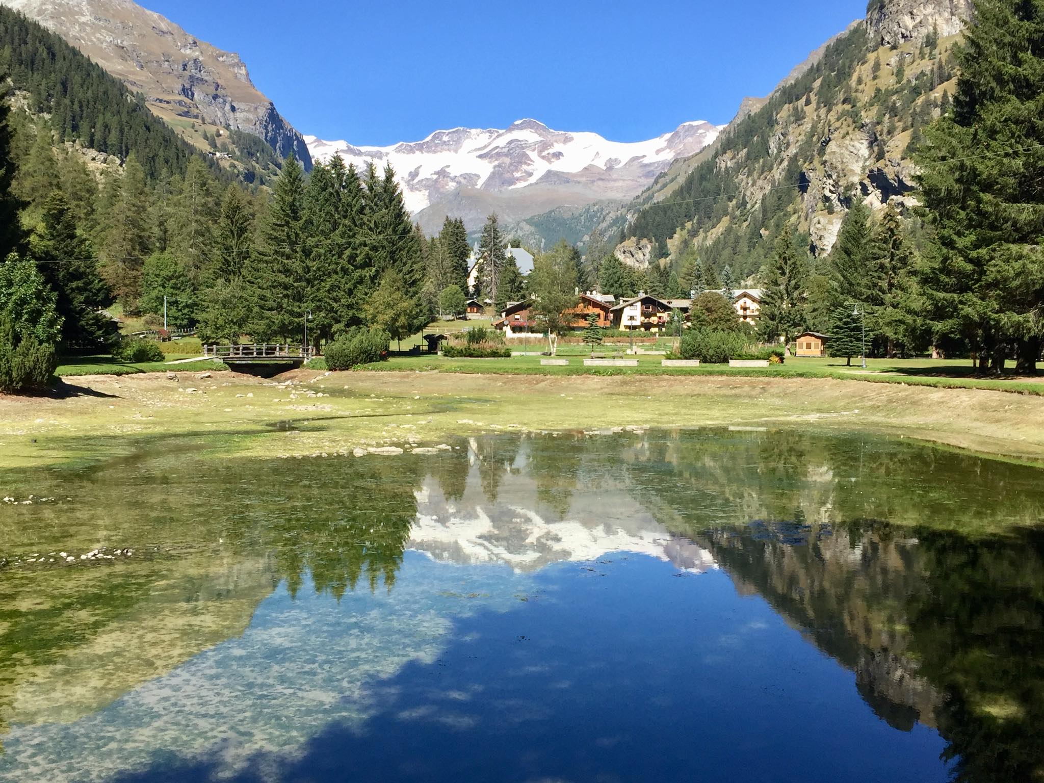 42796968_341528443248839_4978187994545520640_o