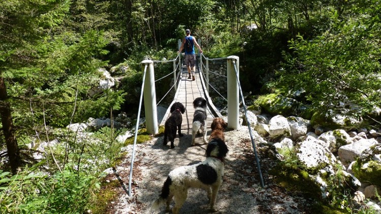 P1070870 Walking from the campsite Slovenia.JPG