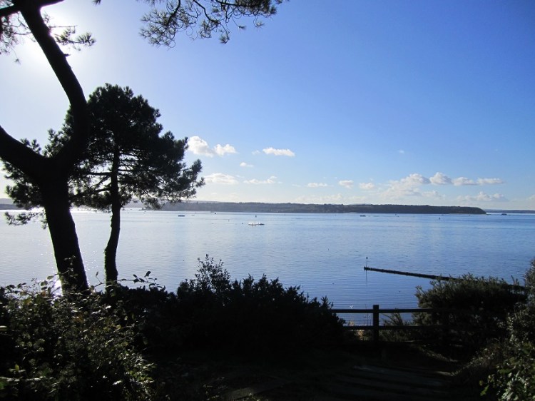Poole_Harbour.JPG