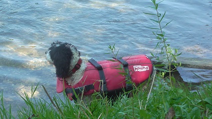 Outward_Hound_Life_Jackiet