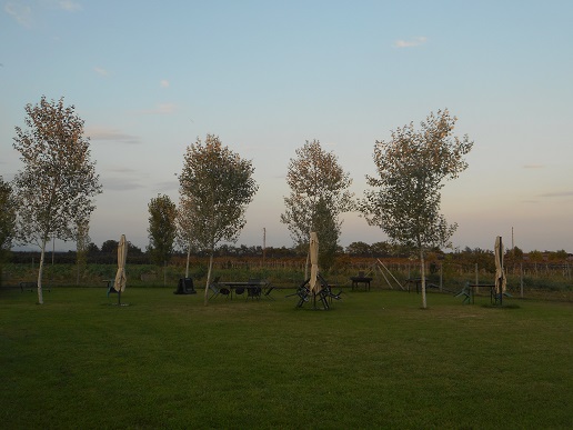 Camping_Corte_Comotto