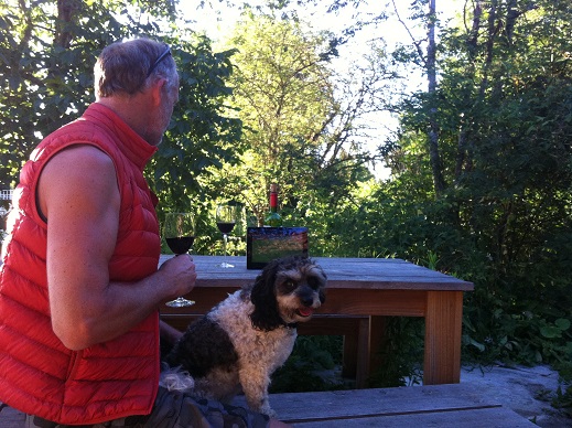 England_World_Cup_Semi_FInal_1 (6)