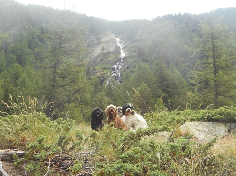 Gran_Paradiso (2).JPG