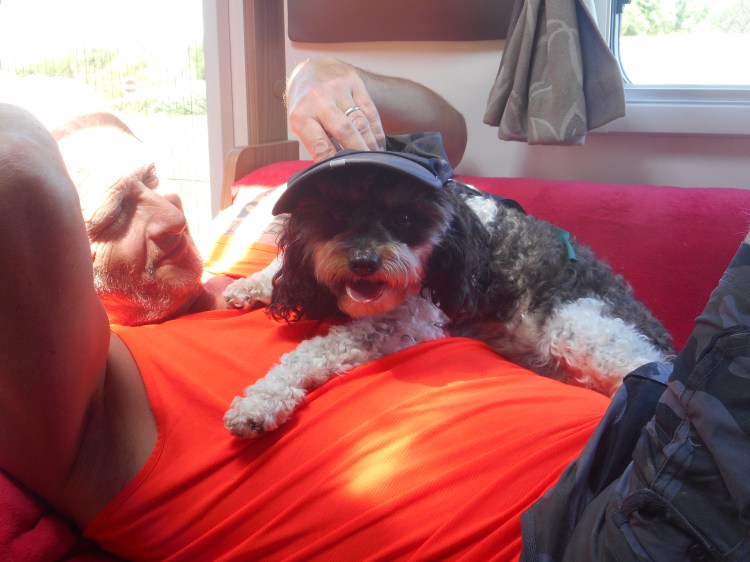 Keeping_cool (4).JPG