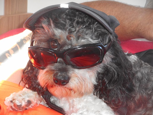 Paradise_Found_Auvergne