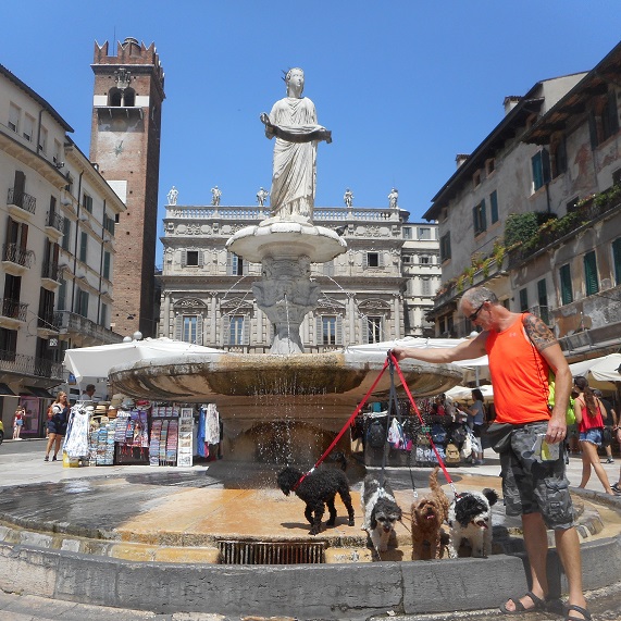 Piazza_Erbe_Verona