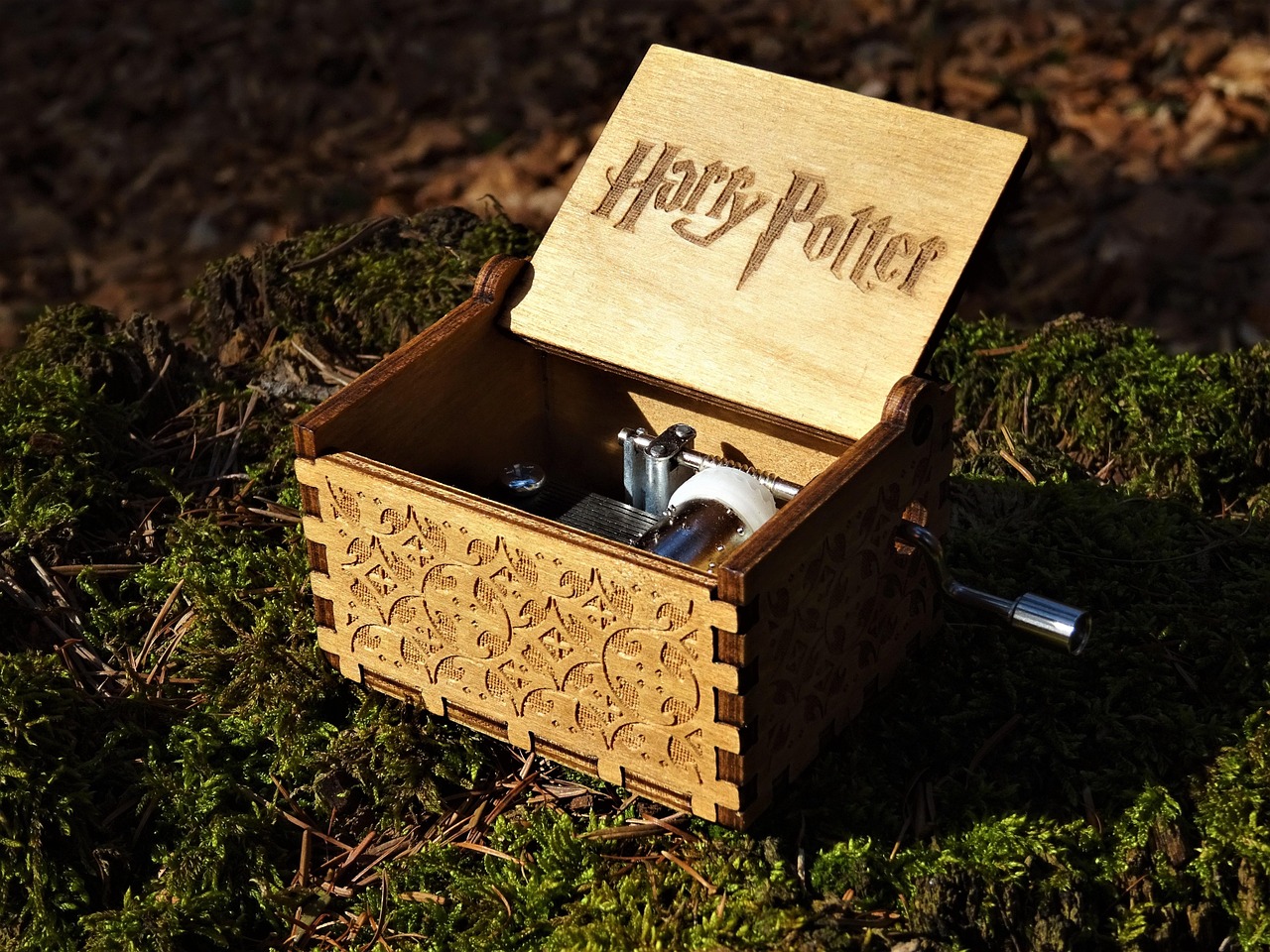 Box with Harry Potter logo on the lid.
