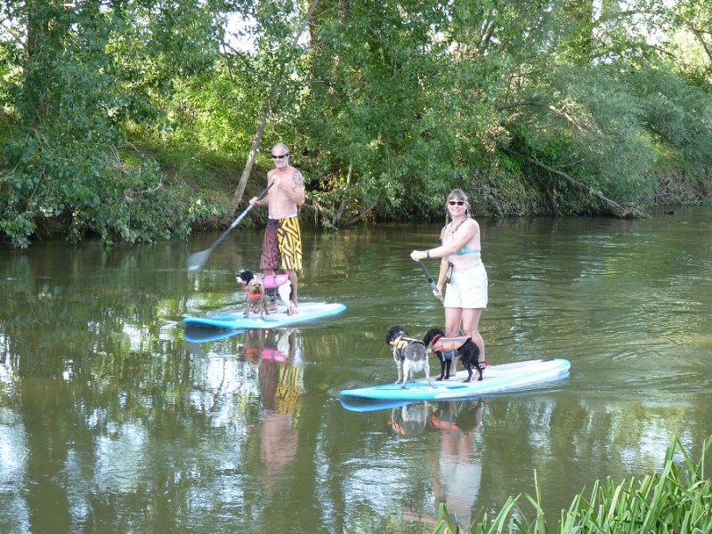 Pups on SUPs: Stand Up Paddle Boarding with your&nbsp;Dog