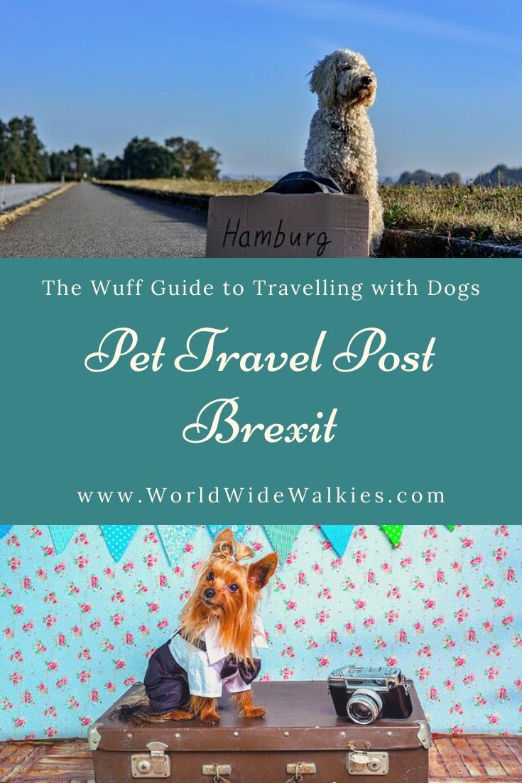 Pet Travel Post Brexit Pin