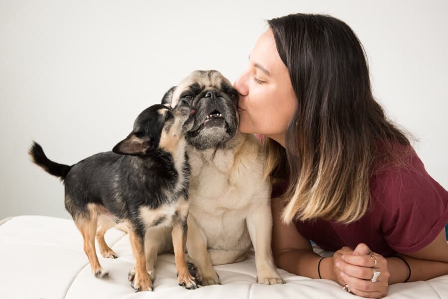 CandyBoogieMarcelo2018_0001-copy