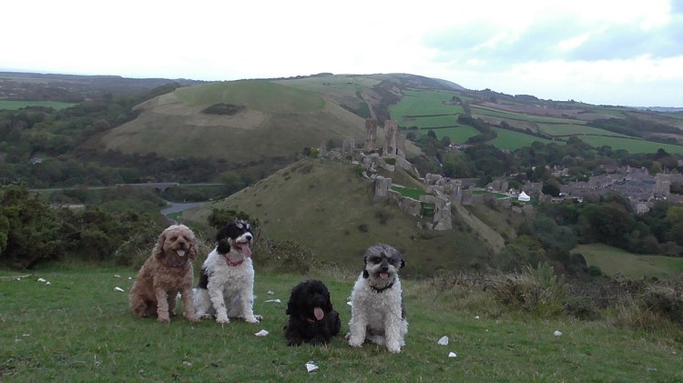 Corfe_castle