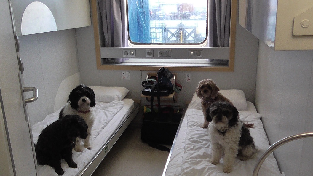Pet_friendly_Ferry_Cabin