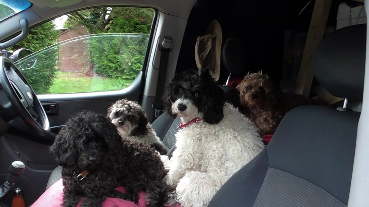 Ready_road_trip_france