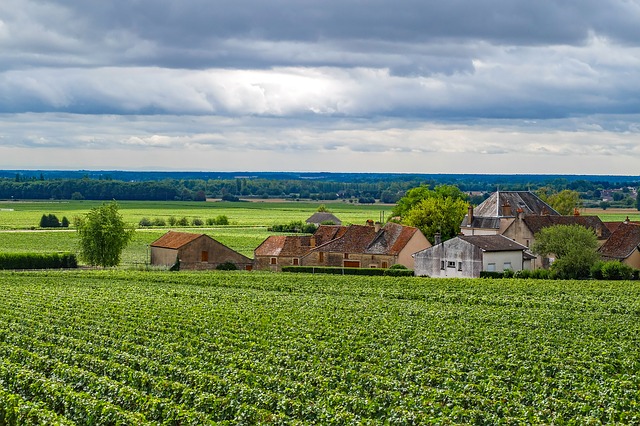 Bourgogne