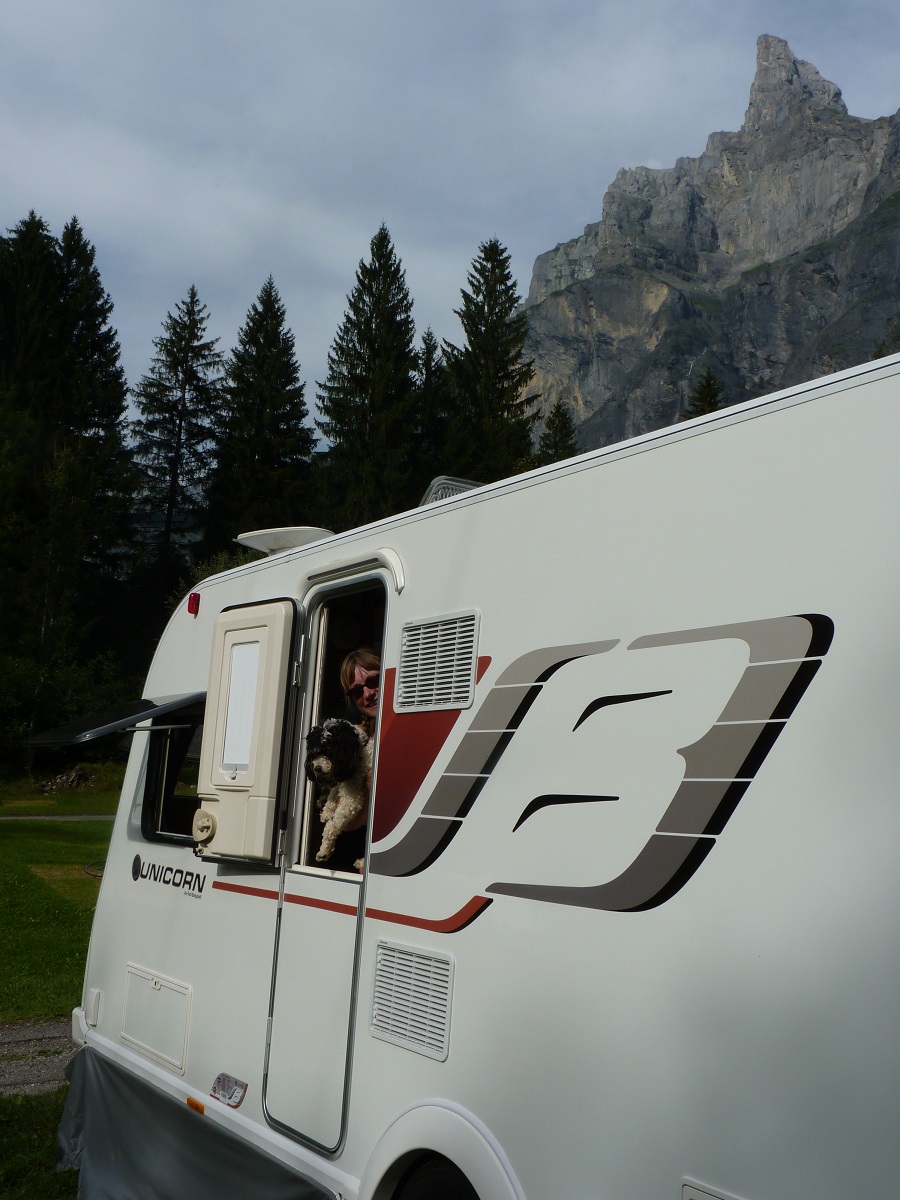 Dog, Caravan, Travel