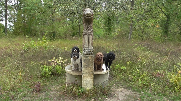 Noyers_sur_Serein (9)