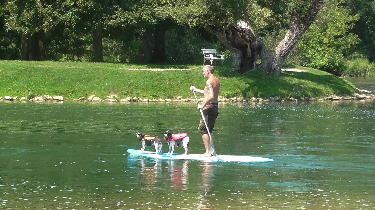 Pups_on_SUPs_reduced (3)