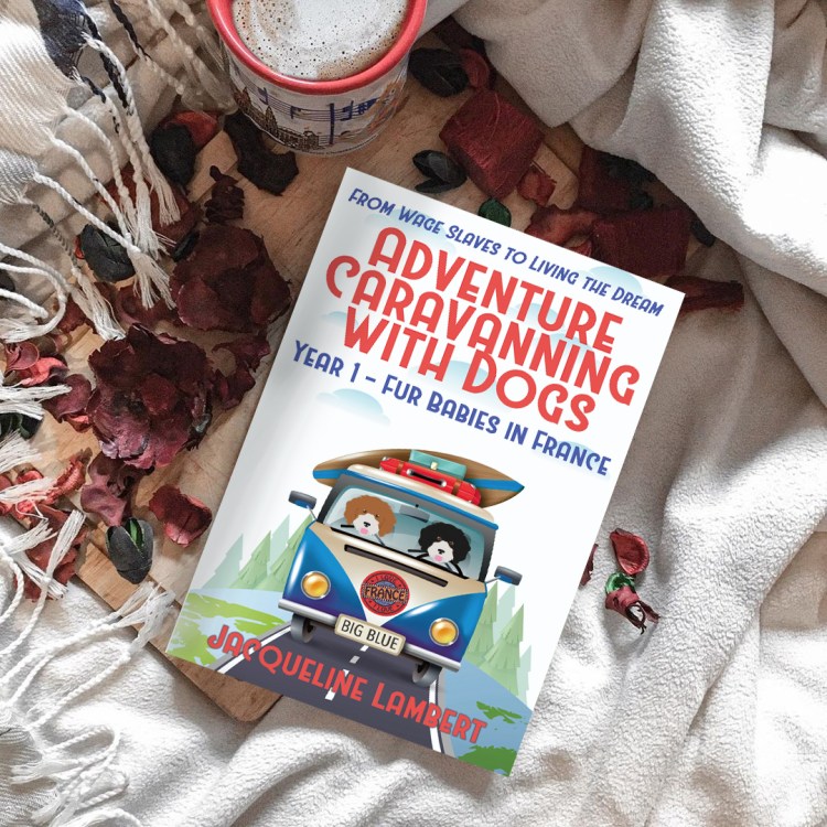 Adventure Caravanning With Dogs France.jpg