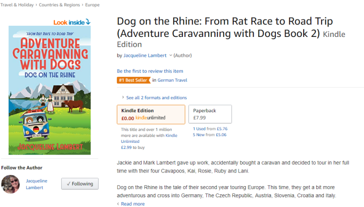 Bestseller No 1 Cropped.PNG