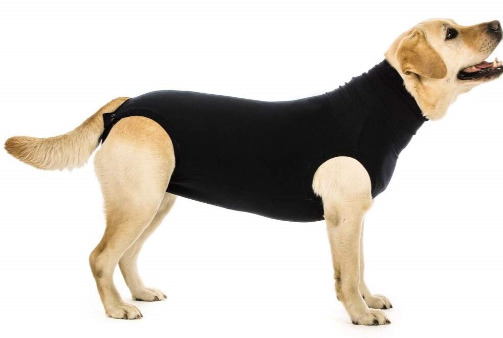 Suitical_dog_post_op_recovery_coat.jpg