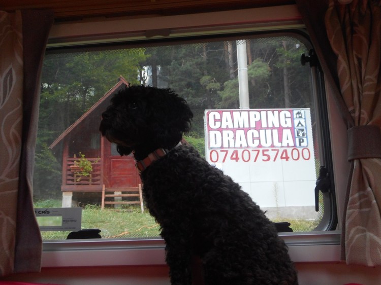 Transfagarasan_camping_Dracula