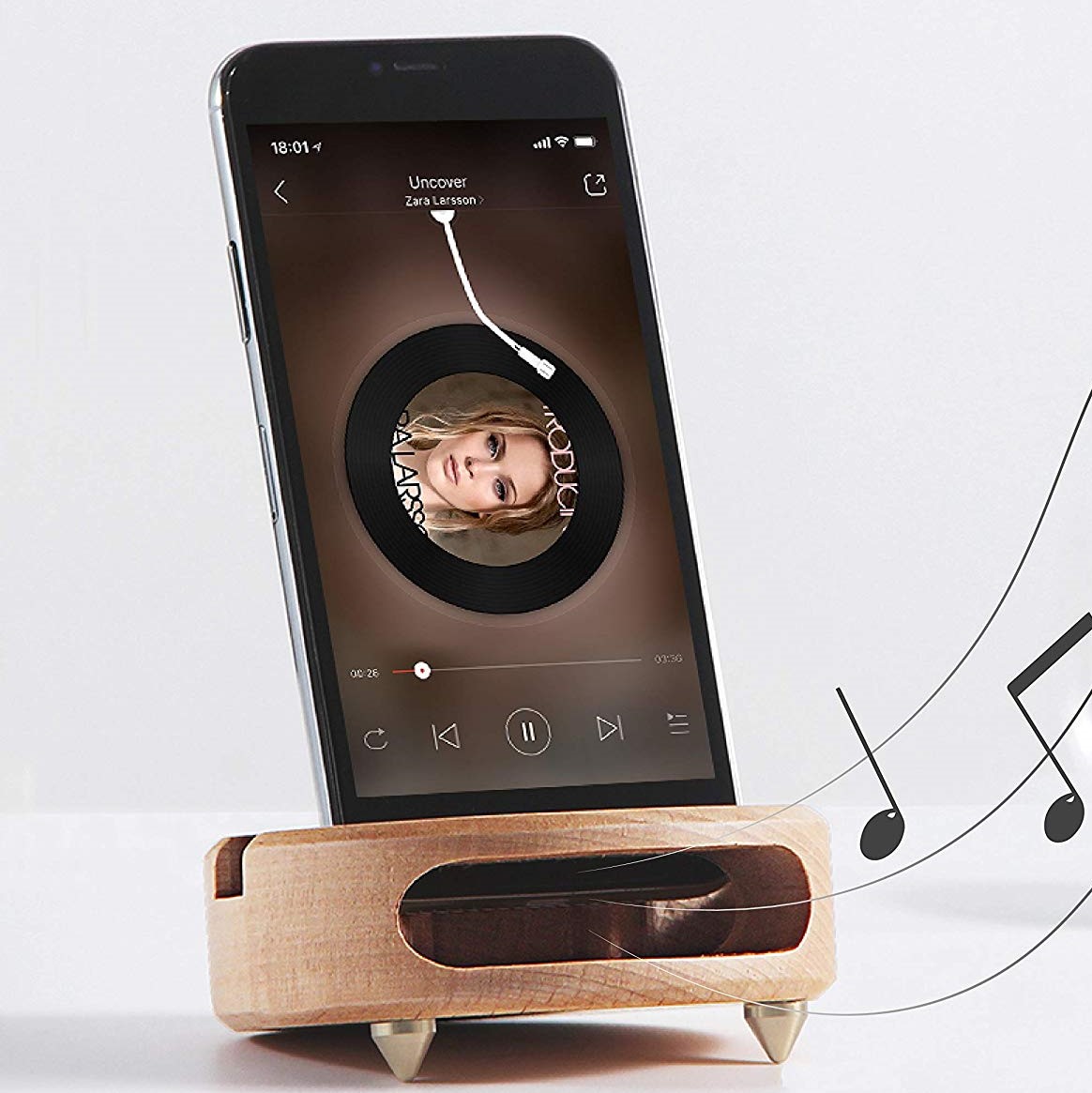 Wooden_speaker_amplifier (2).jpg