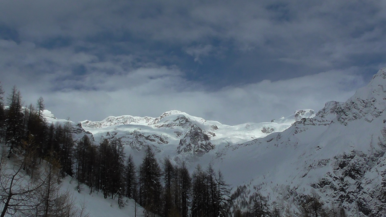 S2200081 Cracker of MR