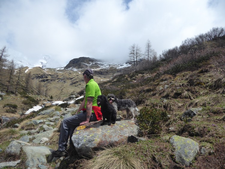 P1020822 They might be giants