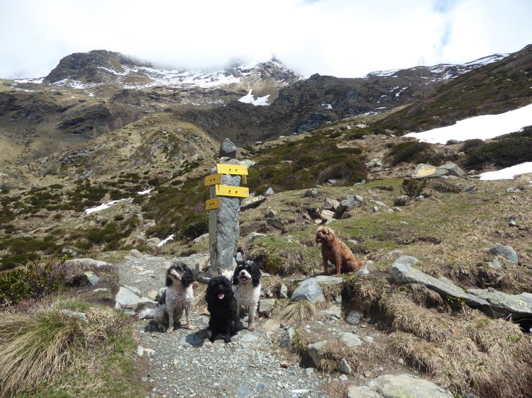 P1020832 Fab 4 &amp; Signpost
