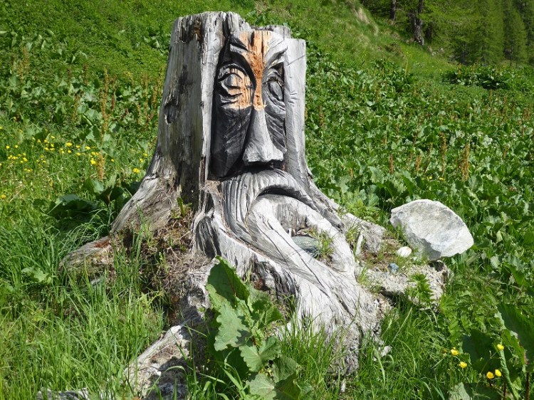 face_carved_into_tree_stump (2)