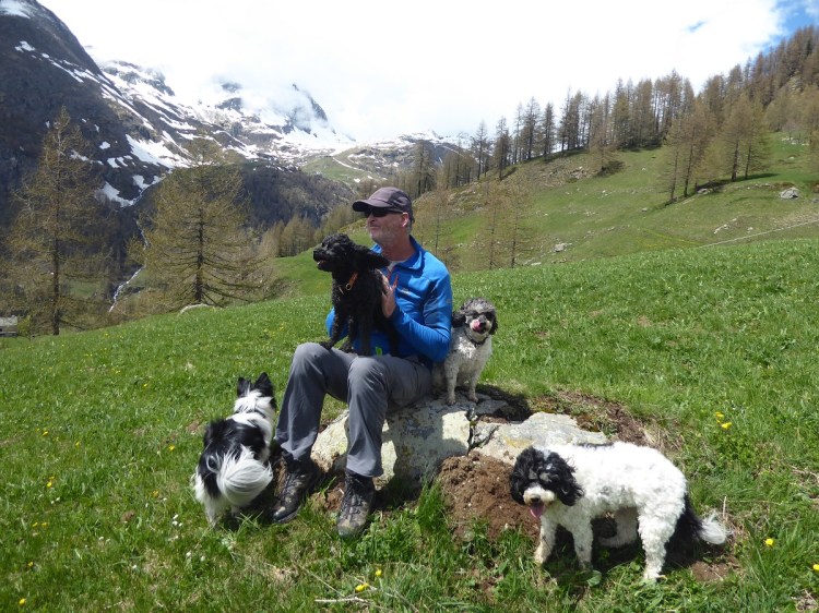 man_sitting_on_rock_four_dogs