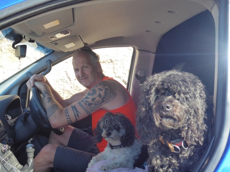 Man_dogs_in_car