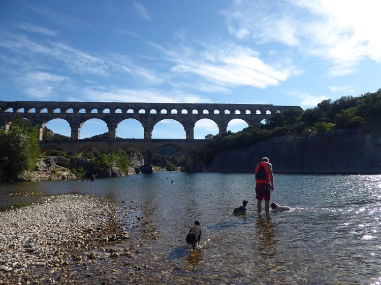 Pups_in_river_pont_du_gard