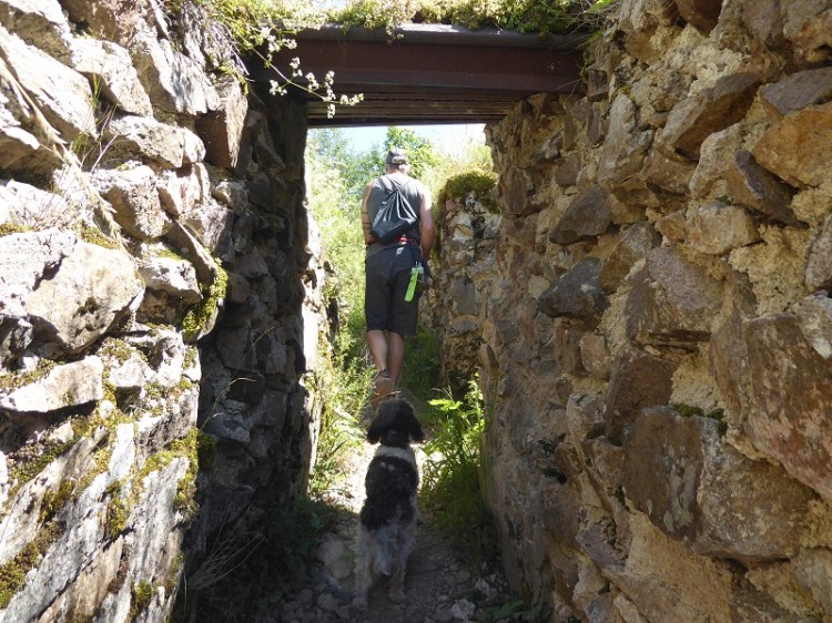 14 Emma_trench_Hartmanswillerkopf