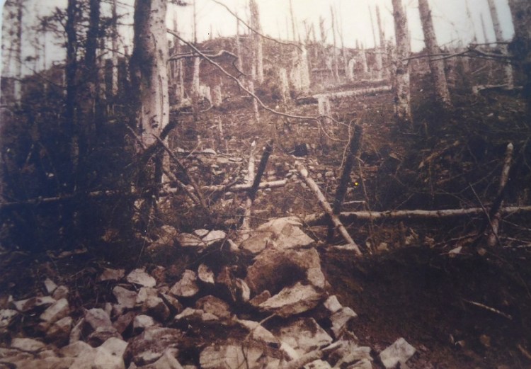 Battle_Landscape_Hartmannswillerkopf