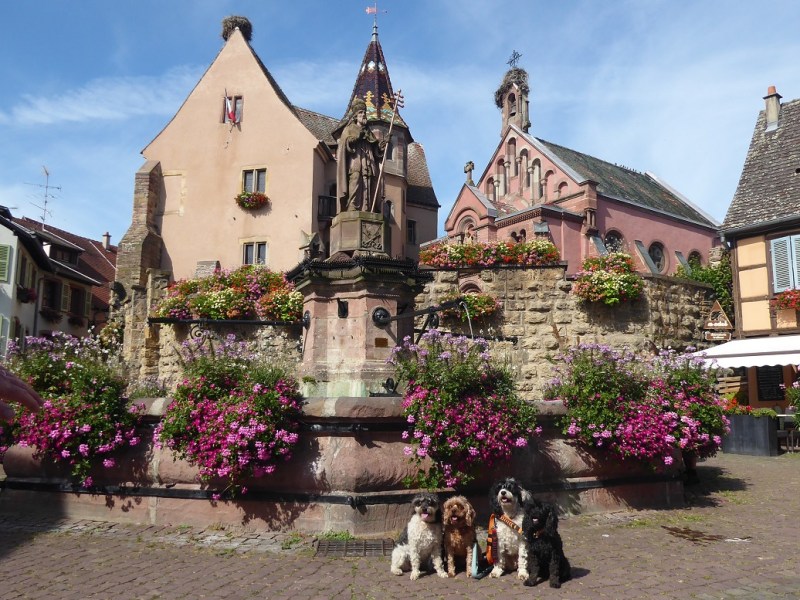 Of Mice & Men – Éguisheim, Alsace,&nbsp;France