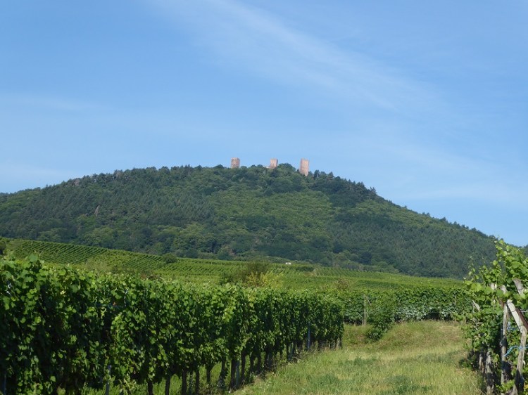 Eguisheim_trois_chateaux_Alsace