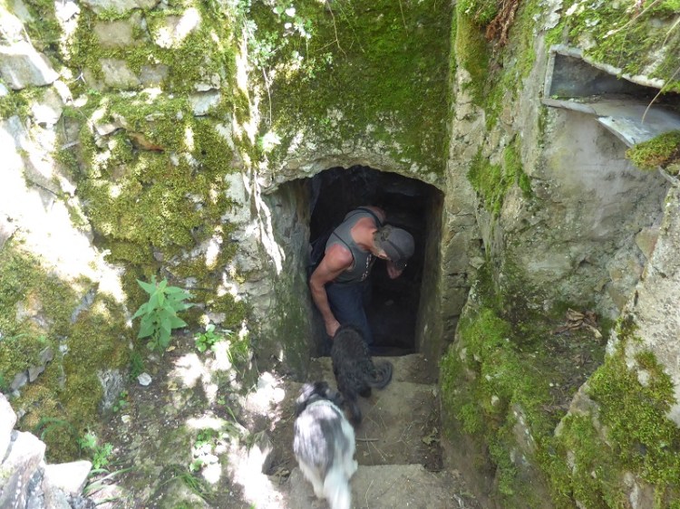 Sengernt_Tunnel_Hartmanswillerkopf